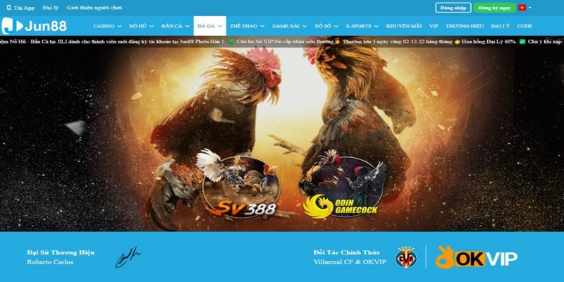 Jun88 là một trong những thương hiệu chơi đá gà online uy tín 