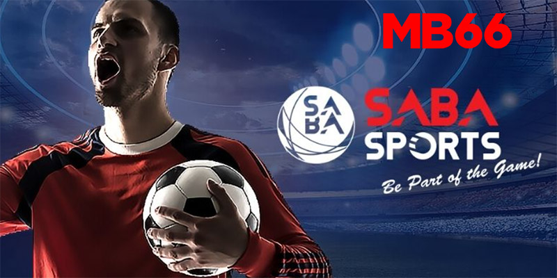Những ưu điểm mà Saba Sportss MB66 luôn dành tặng người chơi